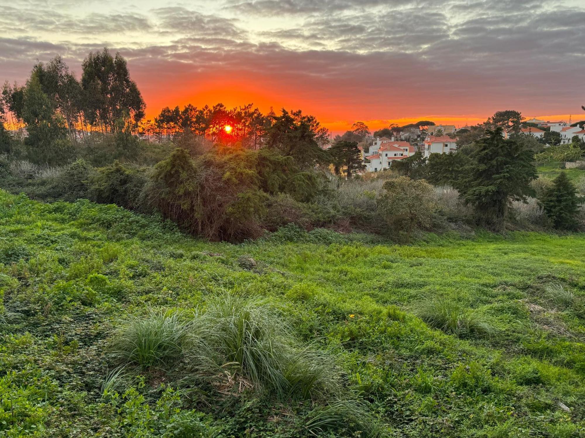 Boutique Hotel - O House Ericeira Hills エクステリア 写真
